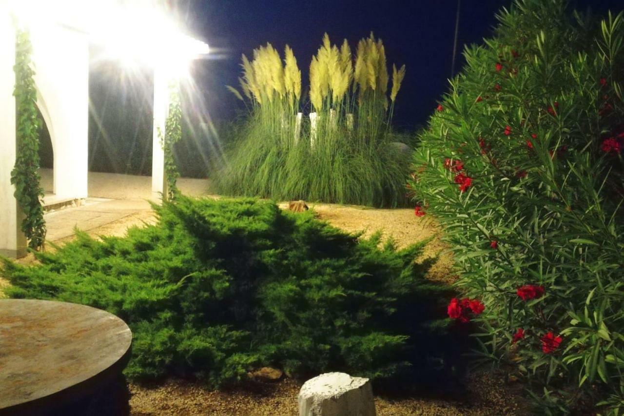Casa Eucaliptus Βίλα L'Eucaliptus Εξωτερικό φωτογραφία