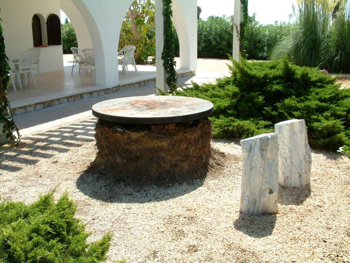 Casa Eucaliptus Βίλα L'Eucaliptus Εξωτερικό φωτογραφία